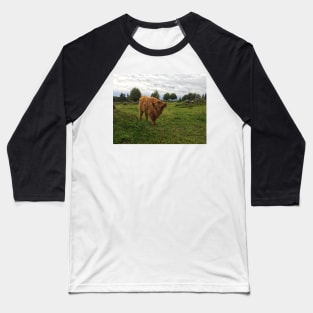 Scottish Highland Cattle Calf 1814 Baseball T-Shirt